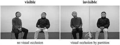 Different effects of visual occlusion on interpersonal coordination of head and body movements during dyadic conversations
